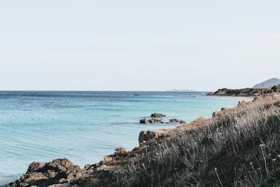 brown rock formation on sea during daytime